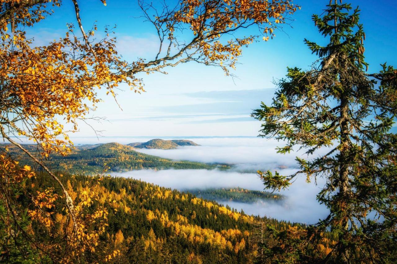 Break Sokos Hotel Koli Kolinkylä Εξωτερικό φωτογραφία